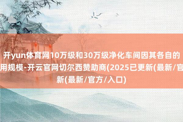 开yun体育网10万级和30万级净化车间因其各自的特色和适用规模-开云官网切尔西赞助商(2025已更新(最新/官方/入口)