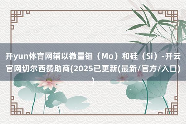 开yun体育网辅以微量钼（Mo）和硅（Si）-开云官网切尔西赞助商(2025已更新(最新/官方/入口)