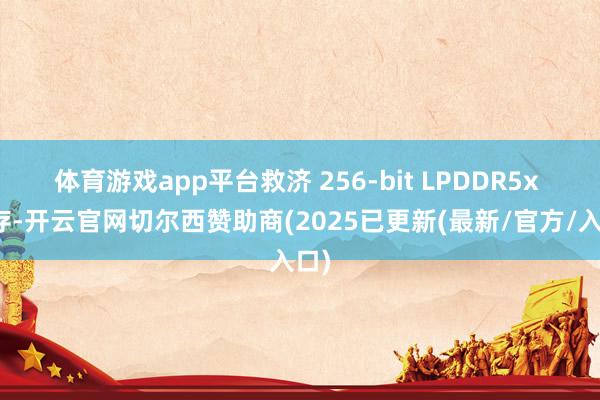 体育游戏app平台救济 256-bit LPDDR5x 内存-开云官网切尔西赞助商(2025已更新(最新/官方/入口)