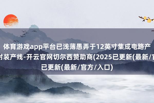体育游戏app平台已浅薄愚弄于12英寸集成电路产线、先进封装产线-开云官网切尔西赞助商(2025已更新(最新/官方/入口)