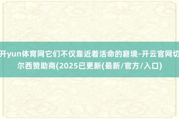 开yun体育网它们不仅靠近着活命的窘境-开云官网切尔西赞助商(2025已更新(最新/官方/入口)