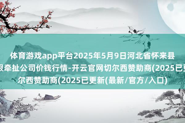 体育游戏app平台2025年5月9日河北省怀来县京西果菜批发市集有限牵扯公司价钱行情-开云官网切尔西赞助商(2025已更新(最新/官方/入口)